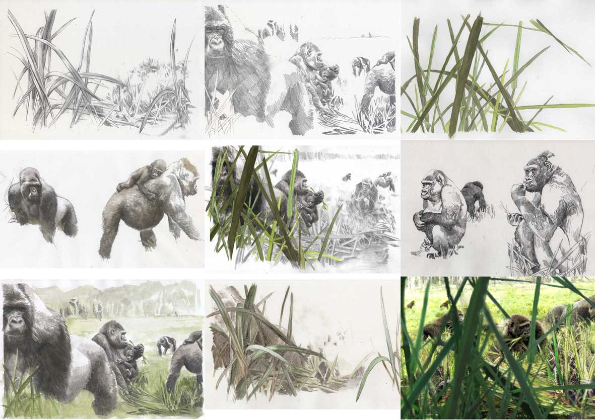 skizzenseite-gorillas